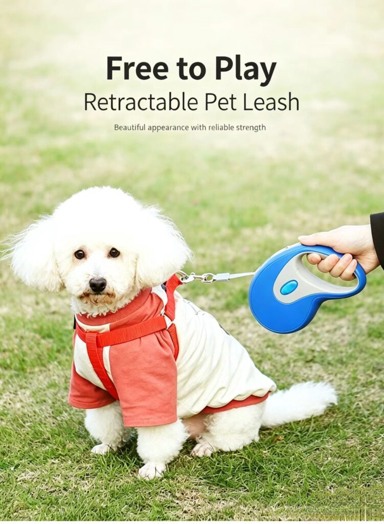 Retractable dog leash outdoor walking scene