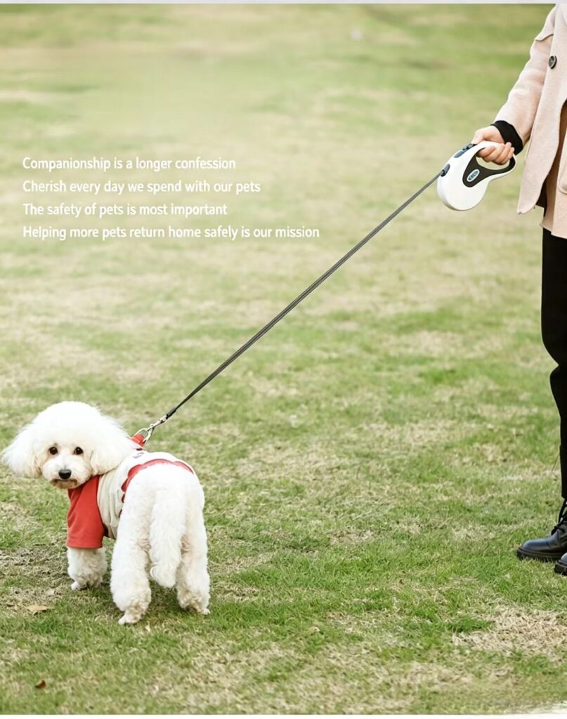 White retractable dog leash outdoor walking scene, safe pet traction for small dogs