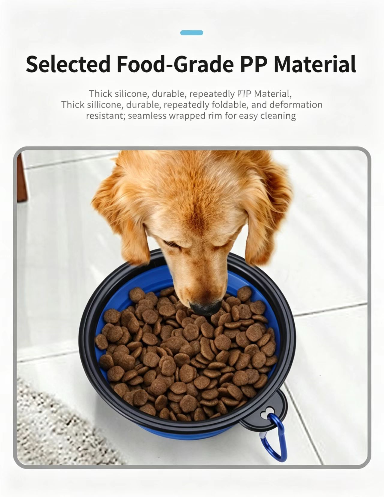 Selected food-grade PP material collapsible pet bowl, thick silicone durable folding dog bowl, BPA-free portable cat dog feeding bowl for travel