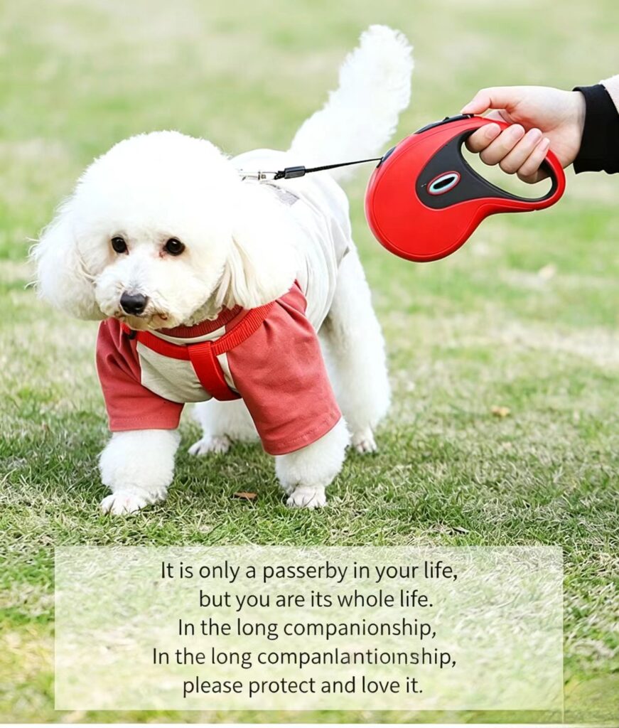Red retractable dog leash outdoor walking for small pet, automatic retractable puppy leash